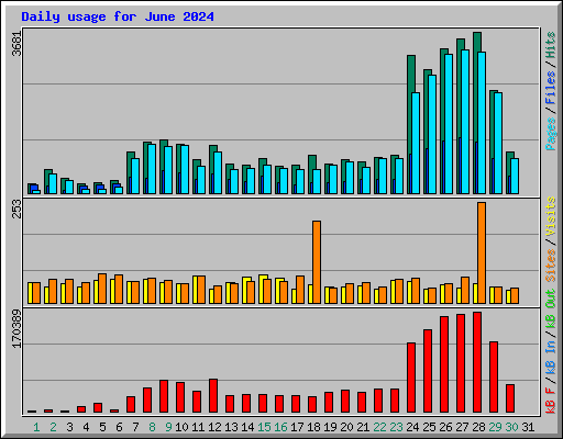 Daily usage for June 2024