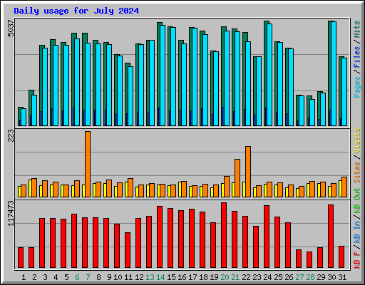 Daily usage for July 2024