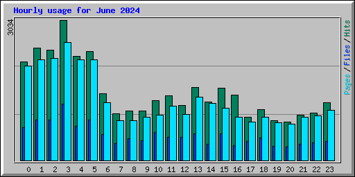 Hourly usage for June 2024