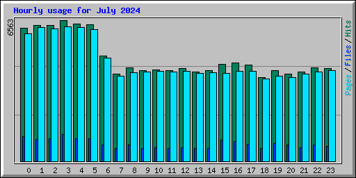 Hourly usage for July 2024